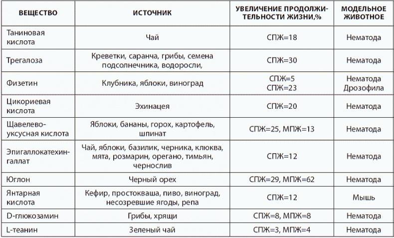 120 лет жизни – только начало. Как победить старение?