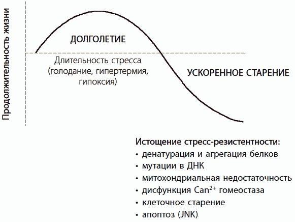 120 лет жизни – только начало. Как победить старение?