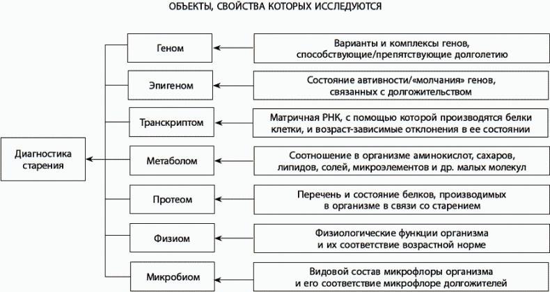 120 лет жизни – только начало. Как победить старение?