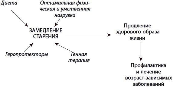 120 лет жизни – только начало. Как победить старение?