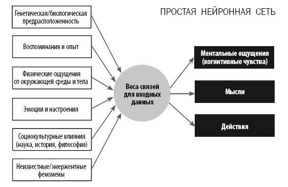 Разум VS Мозг. Разговор на разных языках