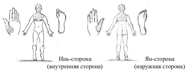 От сомнений к определенности. Опыт врача