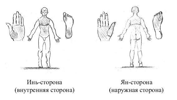 От сомнений к определенности. Опыт врача