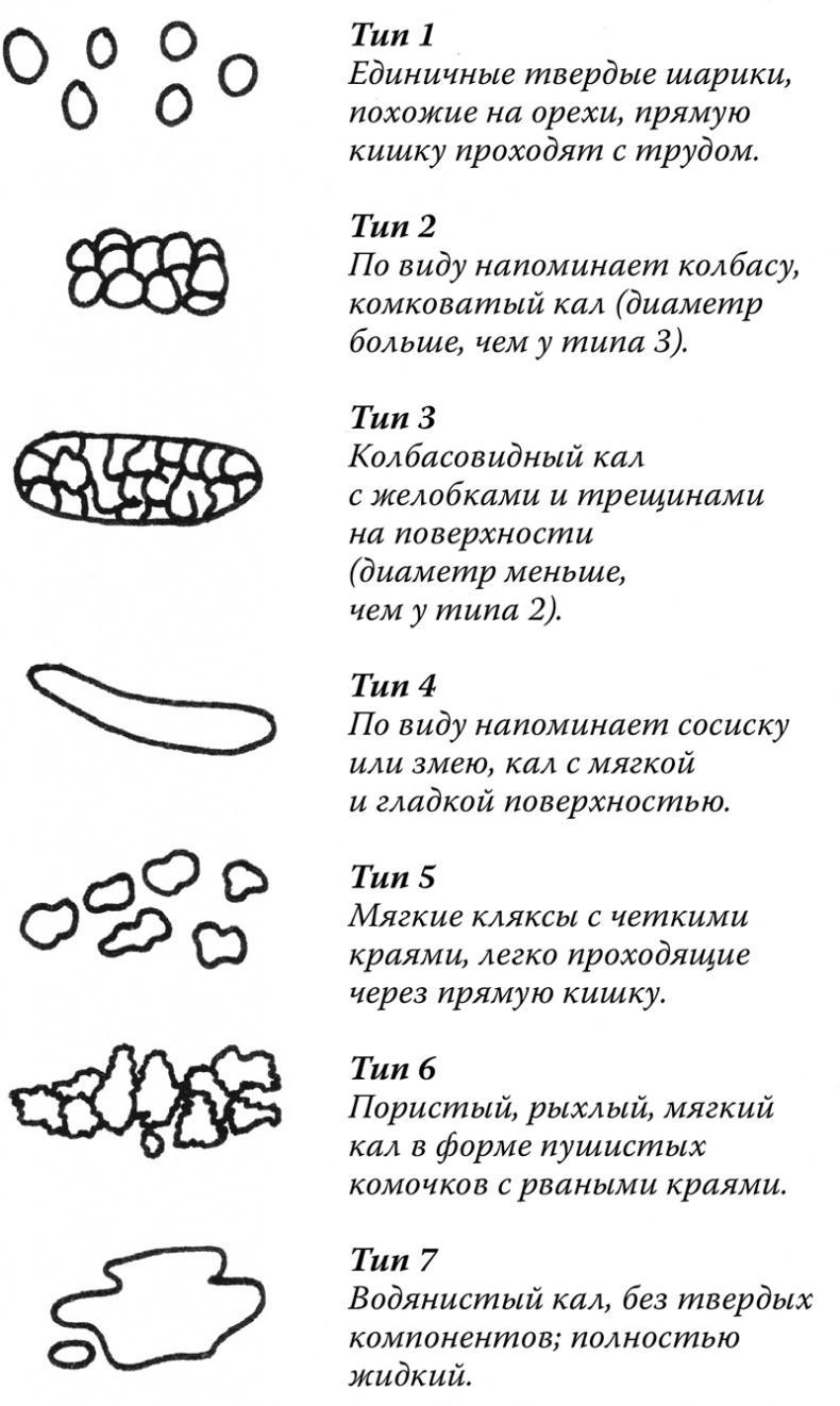 Очаровательный кишечник. Как самый могущественный орган управляет нами