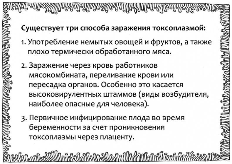 Очаровательный кишечник. Как самый могущественный орган управляет нами