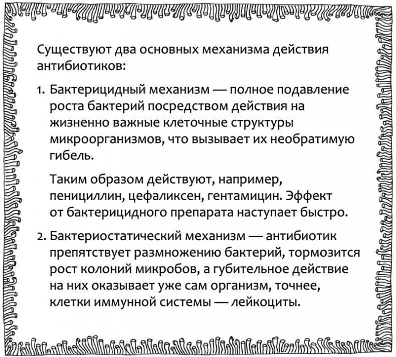 Очаровательный кишечник. Как самый могущественный орган управляет нами