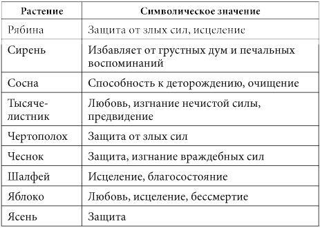 7 минут в день, чтобы желание сбылось