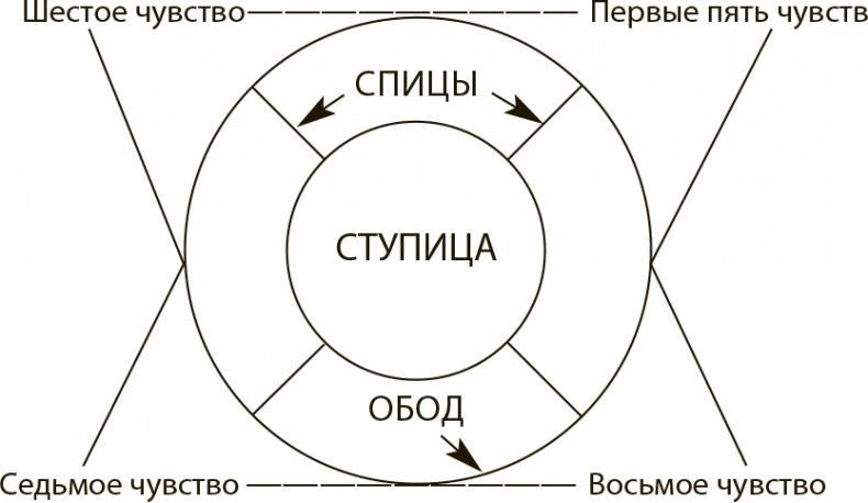 Внимательный мозг. Научный взгляд на медитацию