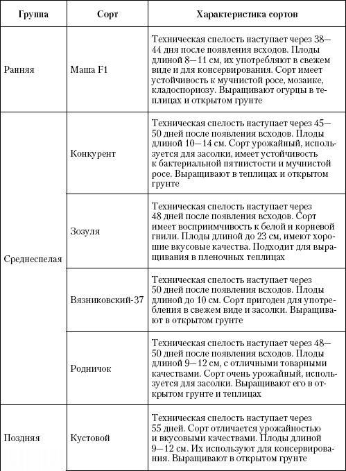 Большая энциклопедия дачника