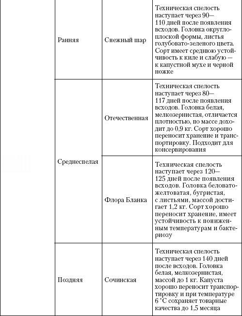 Большая энциклопедия дачника