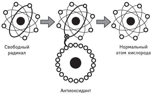 Защита от кислорода-убийцы. Новые методы от 100 болезней