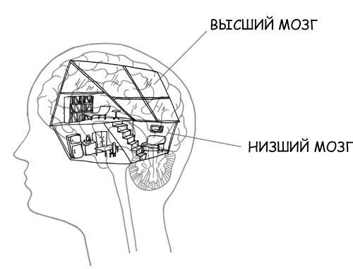 Дисциплина без драм. Как помочь ребенку воспитать характер