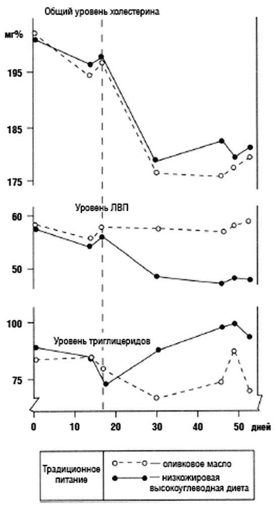 Химия здорового питания