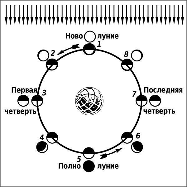 Натальная астрология