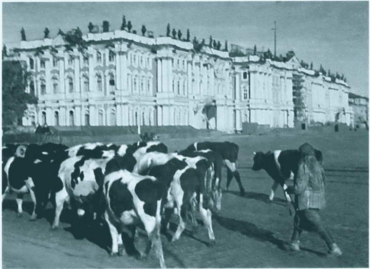 Повседневная жизнь блокадного Ленинграда