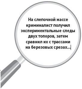 Убийство под микроскопом: записки судмедэксперта