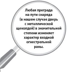 Убийство под микроскопом: записки судмедэксперта