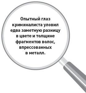 Убийство под микроскопом: записки судмедэксперта