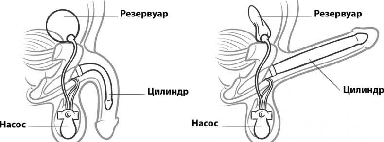 Прайм-тайм. После 50 жизнь только начинается