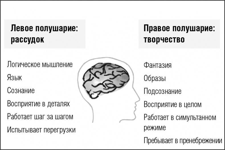 Память. Тренируй и совершенствуй!