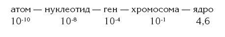 Власть рода. Родовые программы и жизненные сценарии