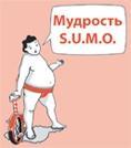 SUMO. Заткнись и делай